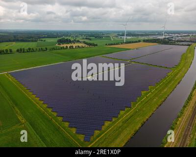 Foto aerea di un grande campo con pannelli solari nei Paesi Bassi. Foto Stock