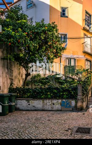 Esplora la storica Altstadt con edifici iconici, ascensori e tram nelle antiche corsie Foto Stock