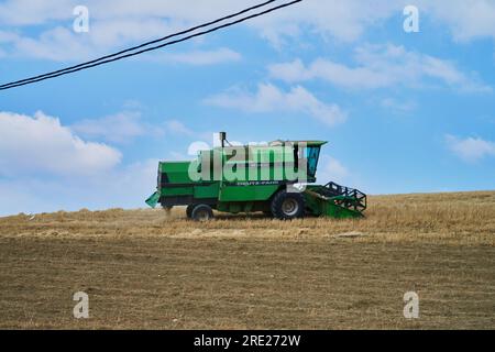 mietitrebbiatrice che lavora su un campo Foto Stock