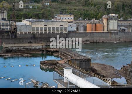 Oregon City è una gemma del Pacifico nord-occidentale famosa per essere la fine dell'Oregon Trail e la prima città dell'Oregon. Foto Stock