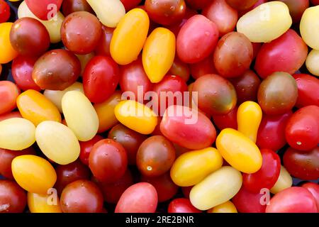 Pomodori ciliegini multicolori. Foto Stock