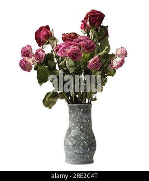 Bouquet di rose secche in vaso di argilla fatto a mano su sfondo bianco. Da vicino le rose morte. Il concetto di solitudine, età, tristezza, vecchiaia, infelice lov Foto Stock