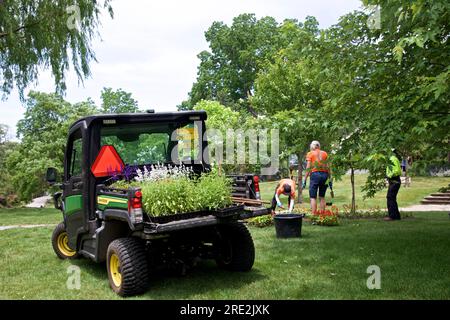 Toronto, Ontario/Canada - 22 giugno 2023: Lavoratore che pianta fiori nel parco pubblico Foto Stock