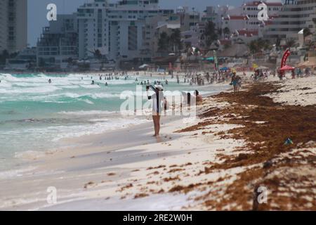 Cancun, Messico. 22 luglio 2023. 22 luglio 2023 a Cancun, Messico: Centinaia di vacanzieri arrivano sulle spiagge dei Caraibi messicani, per godersi le loro vacanze estive nonostante il fatto che le spiagge di Cancun continuino ad essere contaminate dal sargassum, il 22 luglio 2023 a Cancun, Messico. (Foto di Carlos Santiago/ Credit: Eyepix Group/Alamy Live News Foto Stock