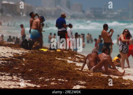 Cancun, Messico. 22 luglio 2023. 22 luglio 2023 a Cancun, Messico: Centinaia di vacanzieri arrivano sulle spiagge dei Caraibi messicani, per godersi le loro vacanze estive nonostante il fatto che le spiagge di Cancun continuino ad essere contaminate dal sargassum, il 22 luglio 2023 a Cancun, Messico. (Foto di Carlos Santiago/ Credit: Eyepix Group/Alamy Live News Foto Stock