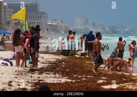 Cancun, Messico. 22 luglio 2023. 22 luglio 2023 a Cancun, Messico: Centinaia di vacanzieri arrivano sulle spiagge dei Caraibi messicani, per godersi le loro vacanze estive nonostante il fatto che le spiagge di Cancun continuino ad essere contaminate dal sargassum, il 22 luglio 2023 a Cancun, Messico. (Foto di Carlos Santiago/ Credit: Eyepix Group/Alamy Live News Foto Stock