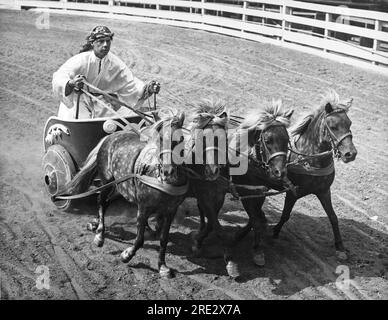 California: c. 1947 Un uomo che cavalca Un carro trainato da quattro cavalli. Foto Stock