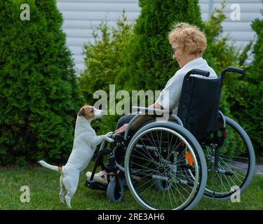 Felice donna anziana in sedia a rotelle gioisce a camminare con il cane all'aperto. Foto Stock