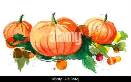 Tre zucche. Inchiostro disegnato a mano e acquerello su carta Foto Stock
