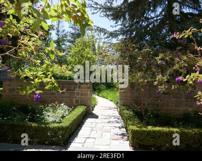 Beverly Hills, California, USA 28 agosto 2021 Greystone Mansion & Gardens, The Doheny Estate il 28 agosto 2023 a Beverly Hills, California, USA. Foto di Barry King/Alamy Stock Photo Foto Stock