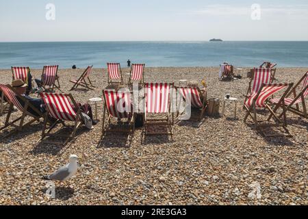 Inghilterra, Sussex, East Sussex, Seaford, Array of Deckchair on Beach Foto Stock