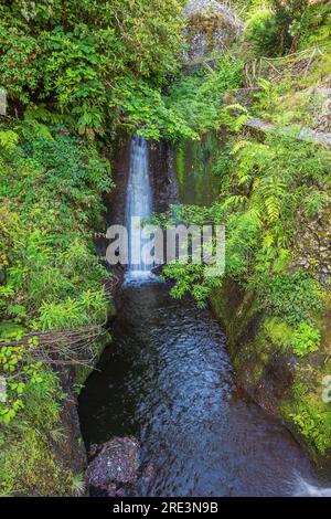 Cascata lungo la Levada do Furado, una delle più antiche levadas dell'isola Foto Stock