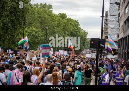 I manifestanti camminano lungo Piccadilly a Londra durante il Trans Pride 2023 Foto Stock