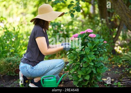 Giardiniere donna in cappello e guanti piante fiori in giardino. Giardinaggio e floricoltura. Concetto di cura dei fiori Foto Stock