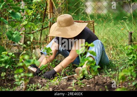 Donna stanca giardiniera con cappello e guanti seduti a terra prepara il terreno per la piantagione. Duro lavoro di giardinaggio. Concetto di coltivazione e piantagione. Foto Stock