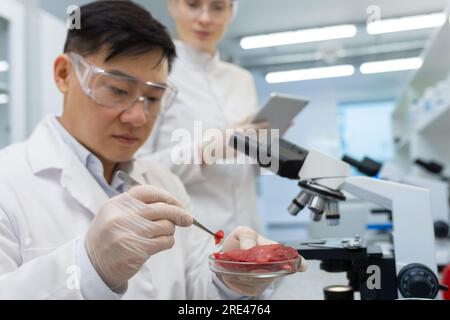 Un ricercatore maschio in laboratorio esamina la carne, un team di scienziati conduce esperimenti con cibo coltivato artificialmente, un uomo asiatico e una donna in camici medici bianchi test farmaci. Foto Stock