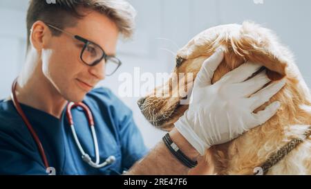 Cliente che accompagna il proprio animale domestico all'appuntamento del medico presso la clinica veterinaria. Controllo regolare dello stato degli animali domestici Foto Stock