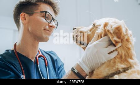 Cliente che accompagna il proprio animale domestico all'appuntamento del medico presso la clinica veterinaria. Controllo regolare dello stato degli animali domestici Foto Stock