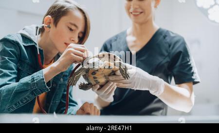 Cliente che accompagna il proprio animale domestico all'appuntamento del medico presso la clinica veterinaria. Controllo regolare dello stato degli animali domestici Foto Stock