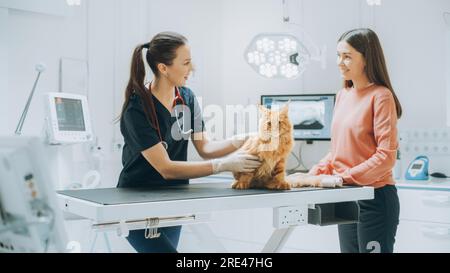 Cliente che accompagna il proprio animale domestico all'appuntamento del medico presso la clinica veterinaria. Controllo regolare dello stato degli animali domestici Foto Stock