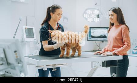 Cliente che accompagna il proprio animale domestico all'appuntamento del medico presso la clinica veterinaria. Controllo regolare dello stato degli animali domestici Foto Stock