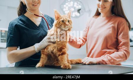 Cliente che accompagna il proprio animale domestico all'appuntamento del medico presso la clinica veterinaria. Controllo regolare dello stato degli animali domestici Foto Stock