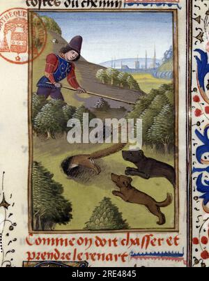 Chasse au renard - in 'Livre de Chasse de Gaston Phoebus, Comte de Foix, Seigneur de Bearn', XIVeme siecle - Bibliotheque Mazarine - Parigi - Francia Foto Stock