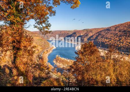 Geografia / viaggi, Germania, Renania-Palatinato, Oberwesel, DIRITTI-AGGIUNTIVI-CLEARANCE-INFO-NOT-AVAILABLE Foto Stock