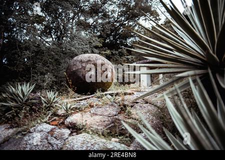 Enorme e pesante pietra rotonda che simboleggia un equilibrio instabile, ricoperta di muschio, adagiata sul terreno in un ambiente tropicale di un parco della foresta pluviale o di un bot Foto Stock