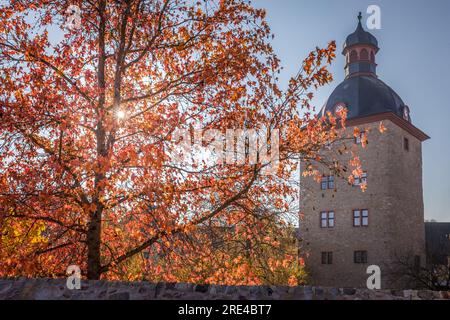 Geografia / viaggi, Germania, Assia, Oestrich-Winkel, ADDITIONAL-RIGHTS-CLEARANCE-INFO-NOT-AVAILABLE Foto Stock