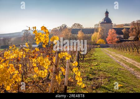 Geografia / viaggi, Germania, Assia, Oestrich-Winkel, ADDITIONAL-RIGHTS-CLEARANCE-INFO-NOT-AVAILABLE Foto Stock