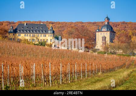 Geografia / viaggi, Germania, Assia, Oestrich-Winkel, ADDITIONAL-RIGHTS-CLEARANCE-INFO-NOT-AVAILABLE Foto Stock