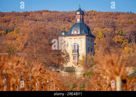 Geografia / viaggi, Germania, Assia, Oestrich-Winkel, ADDITIONAL-RIGHTS-CLEARANCE-INFO-NOT-AVAILABLE Foto Stock