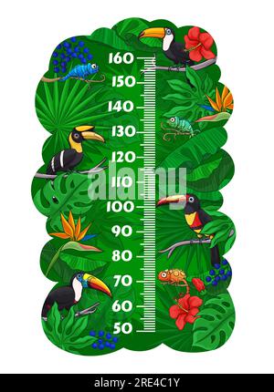 Tabella altezza bambini, uccelli tucano e camaleonti nella giungla, misura della crescita delle foglie tropicali. Sticker da parete vettoriale per misurazione dell'altezza dei bambini con personaggi divertenti in scala e foresta pluviale Illustrazione Vettoriale