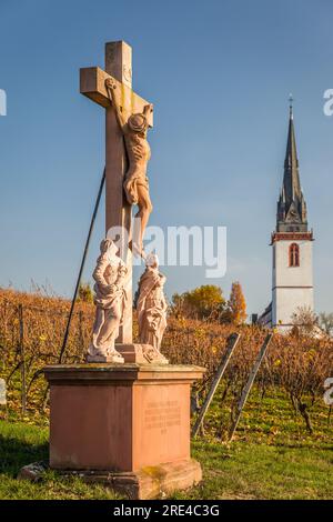 Geografia / viaggi, Germania, Assia, Erbach, attraversare i vigneti vicino a Erbach, ULTERIORI-DIRITTI-CLEARANCE-INFO-NOT-AVAILABLE Foto Stock