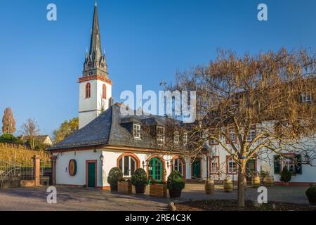 Geografia / viaggi, Germania, Assia, Erbach, azienda vinicola presso il castello di Reinhartshausen a Erbach, ULTERIORI-DIRITTI-CLEARANCE-INFO-NOT-AVAILABLE Foto Stock