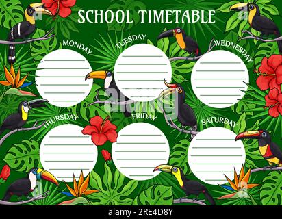 Programma didattico dei cartoni animati toucan Birds. Modello settimanale vettoriale scolastico per studenti con foglie di palma tropicali e fiori. Lezioni di tabelle temporali con esotici fiori di ibisco nella giungla e tucani Illustrazione Vettoriale