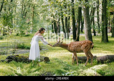 Splendida sposa in abito da sposa bianco che alimenta il cervo selvaggio dalla sua mano contro la foresta e lo sfondo erboso. Foto Stock