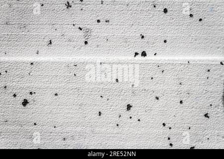 Foto astratta con trama ravvicinata del bianco compresso con blocchi di polistirolo a punti neri Foto Stock