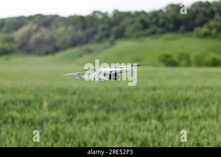 Charkiv, Ucraina - 15 giugno 2021: DJI Mini 2 drone, in volo in un campo di grano verde giovane. Dispositivo quadcopter con sfondo verde sfocato Foto Stock