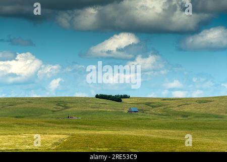 Fattoria (buron) nel massiccio di Cezallier, Parco naturale regionale dei Volcans d'Auvergne, Puy de Dome, Francia Foto Stock