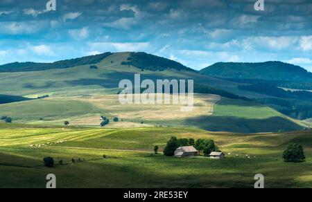 Fattoria (buron) nel massiccio di Cezallier, Parco naturale regionale dei Volcans d'Auvergne, Puy de Dome, Francia Foto Stock