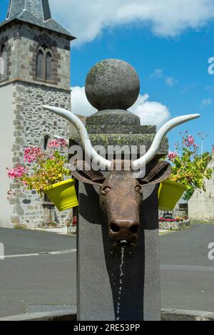Montgreix villaggio. Fontana del villaggio che rappresenta una testa di vacca di salers, Cantal, Auvergne-Rhone-Alpes, Francia Foto Stock