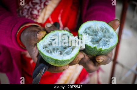 All'interno di Passion Fruits coltivato nelle colline di Kodaikanal, Tamil Nadu, India Foto Stock