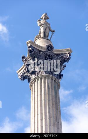 Nelson's column (Admiral Horatio Nelson), Trafalgar Square, City of Westminster, Greater London, England, Regno Unito Foto Stock