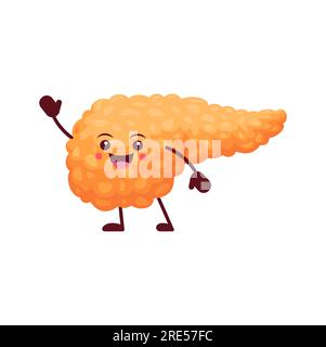 Cartoni animati pancreas corpo umano organo carattere. Parte vettoriale del sistema digestivo ed endocrino. Personalità anatomica sana con faccia sorridente carina, emoji positiva, stile di vita sano, felicità Illustrazione Vettoriale