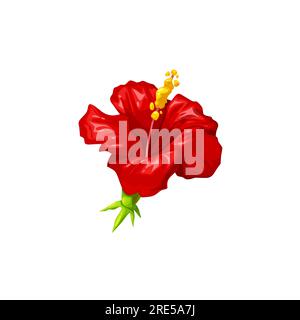 Fiore di ibisco rosso vettore isolato, tè alle erbe e pianta tropicale. Rosa mallow o rosa sudanese fiorito con pistilo giallo e foglie verdi, arbusto in fiore hawaiano o asiatico, bevanda con karkade Illustrazione Vettoriale