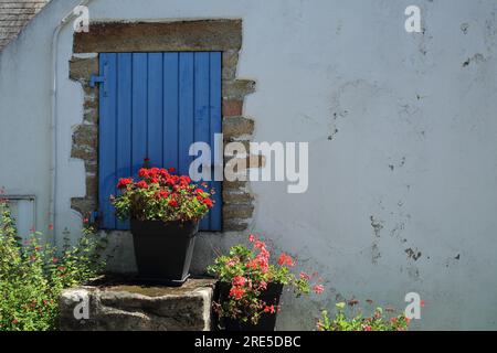 Piccola porta con persiane blu e gradini in Rue de Presbytere, Ile Aux Moines, Golfe du Morbihan, Morbihan, Bretagna, Francia Foto Stock