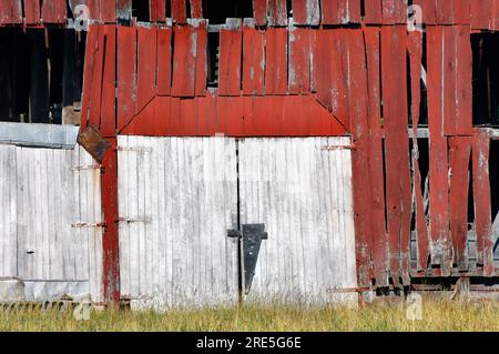 Le doppie porte del fienile sono chiuse e l'edificio storico è abbandonato. Rosso, legno, intemprato e ricoperto, questo fienile viene abbandonato e deposto. Foto Stock