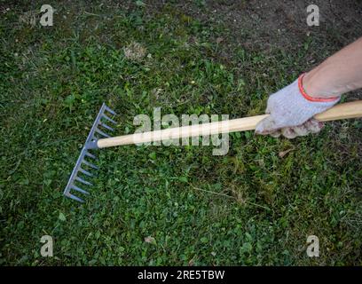 Il giardiniere sta rastrellando l'erba nel parco Foto Stock